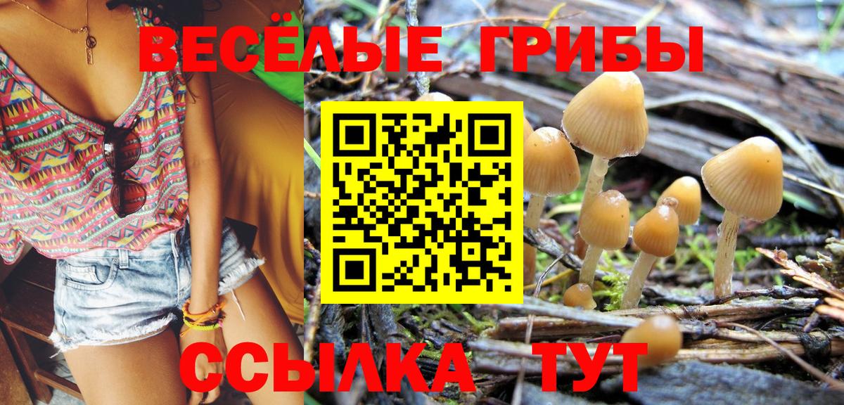 Алейск  Галлюциногенные грибы Magic Shrooms  купить наркоту  Вход с VPN 