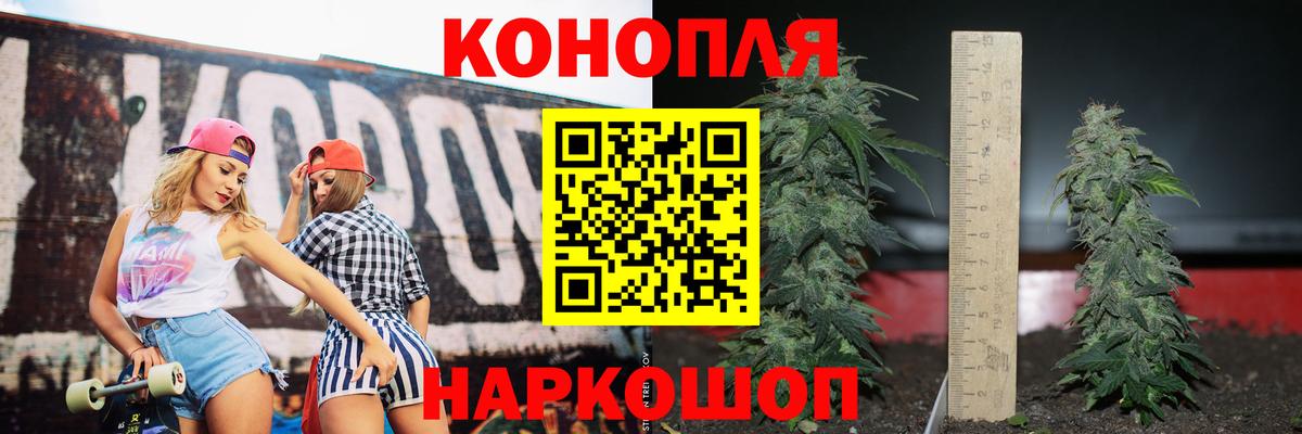 Бошки Шишки гибрид  Марихуана планчик  Алейск  Канабис гибрид  Марихуана марихуана  Вход с VPN 