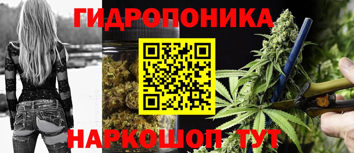 Канабис план Алейск